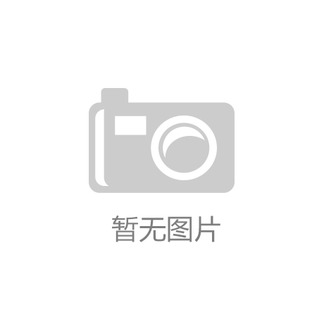 ‘开云官方在线入口’致